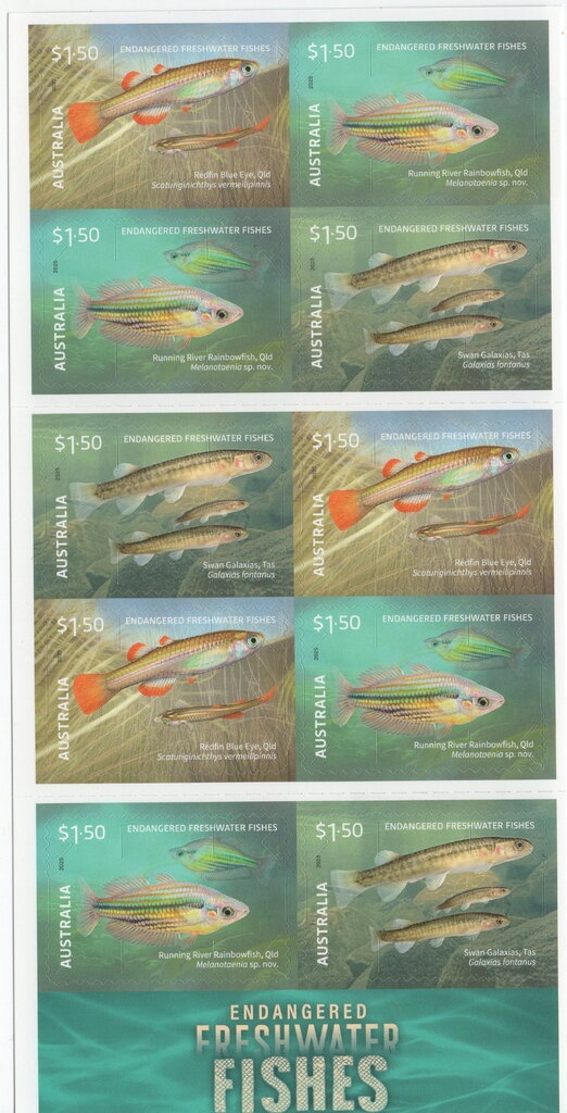 Australia - New Zealand Anzac