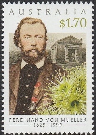 Commonwealth of Nations