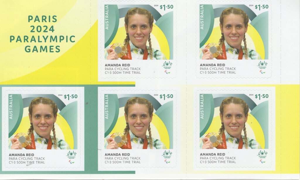 Hourglass Dolphin (Sagmatias cruciger) and "Nella Dan"