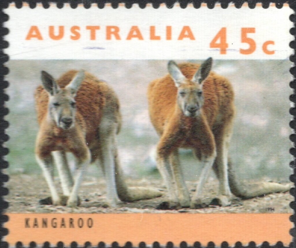 "Thala Dan" and Iceberg