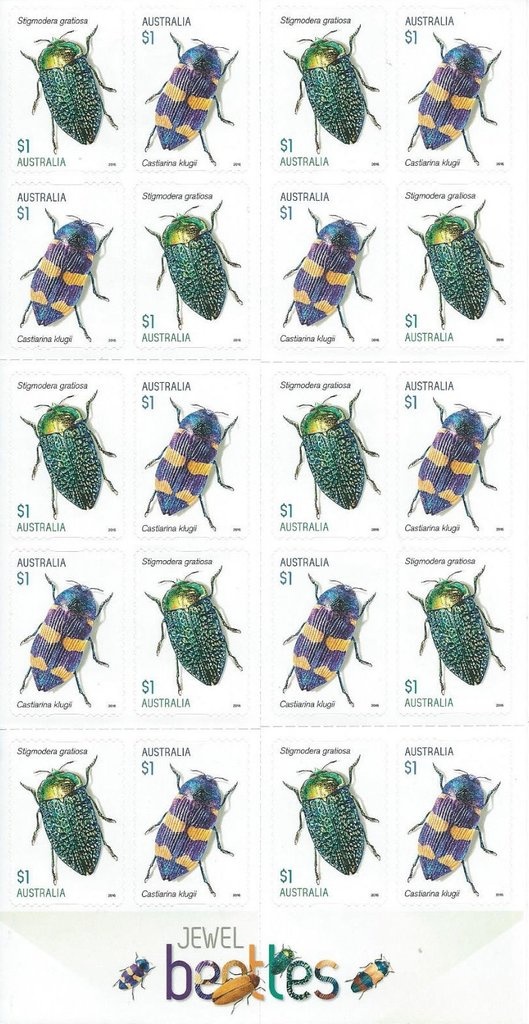 Thinking Of You - 1 Koala reprint