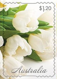 Customs Duty - London