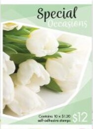 Grey Falcon (Falco hypoleucos)