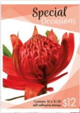 Amanda Reid, Cycling