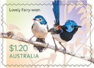 Fairey IIID Seaplane