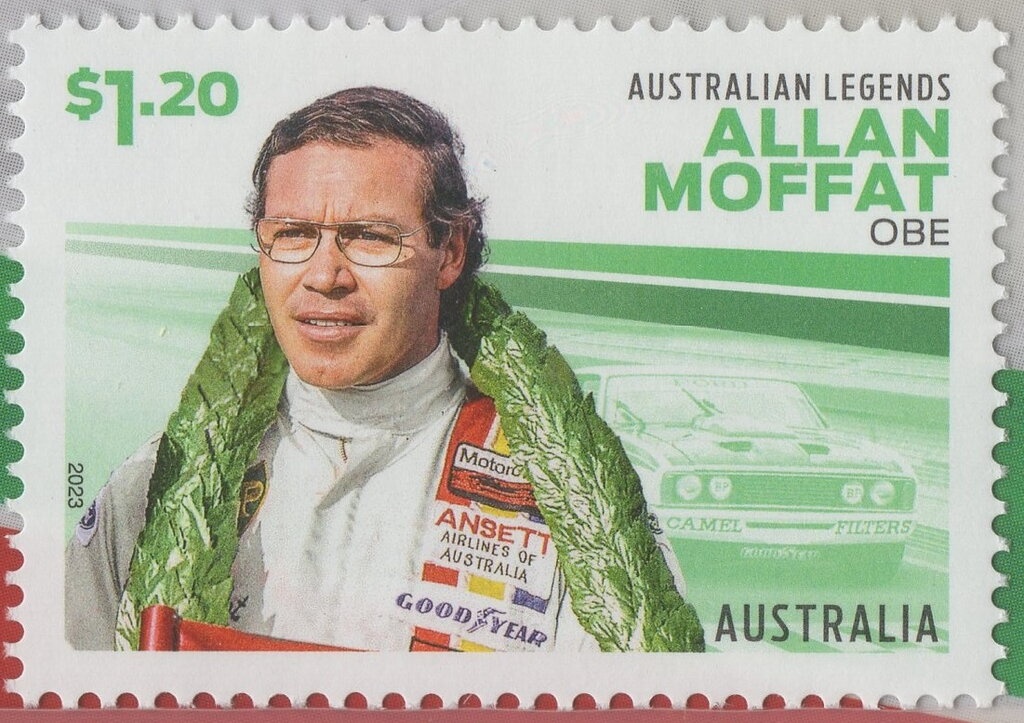 Brown and White Border Collie