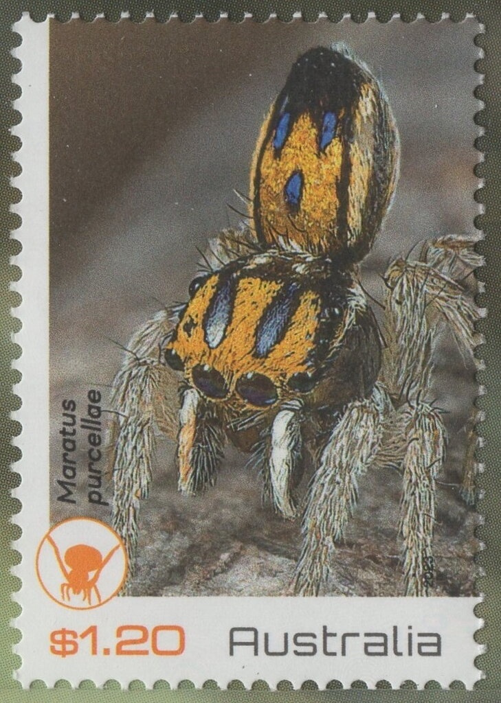 Sydney Opera House. Tuberculosis Association (Colour Shift)