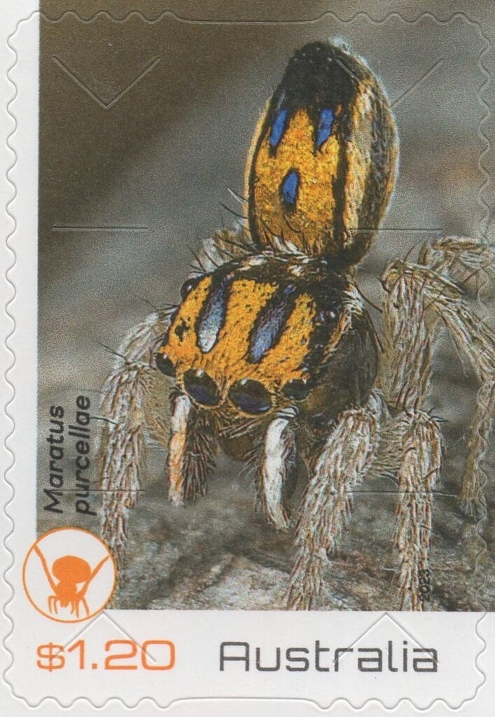 SPORTY FUN Stamp Fun Book