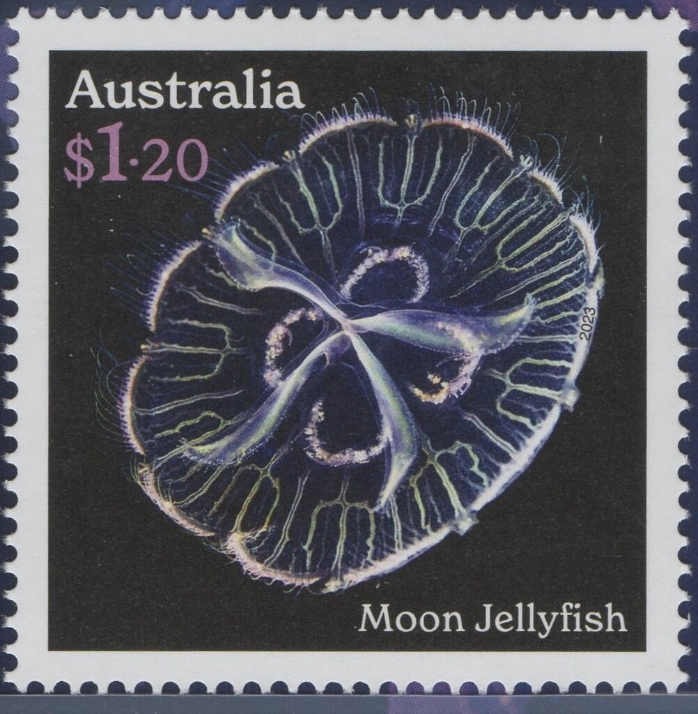 Frauenkirche Tower Bell