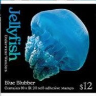 Hurley's Journey ($2 pair)