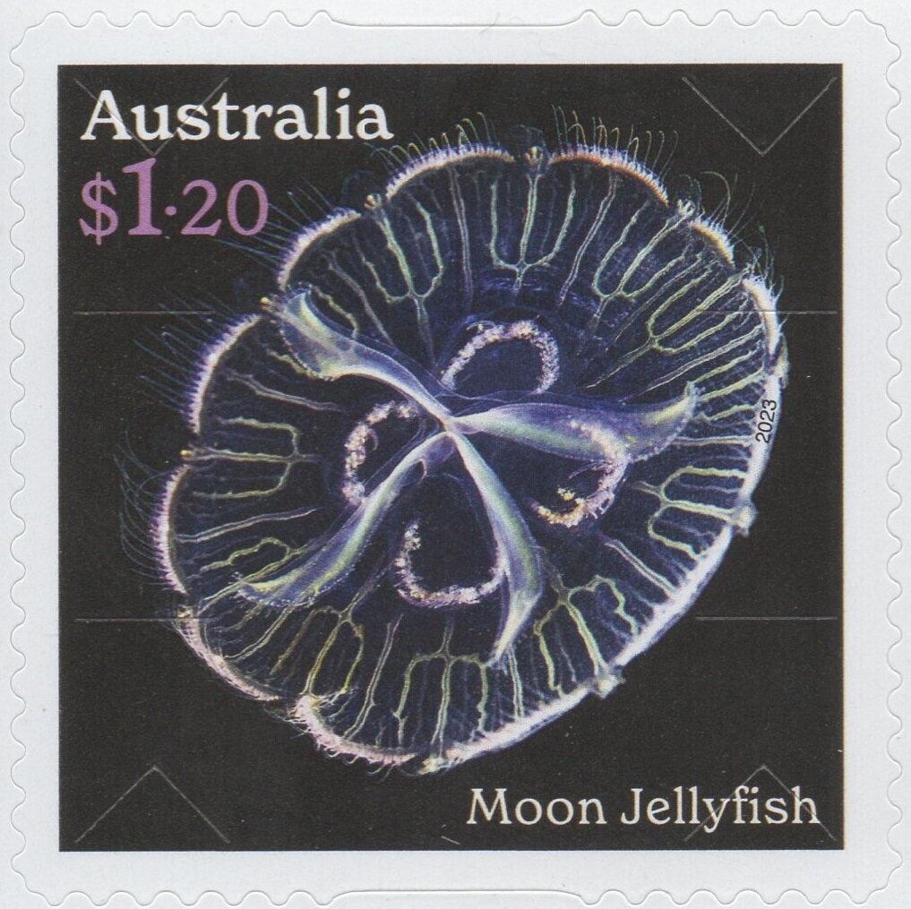 Cricket - (1st Reprint)