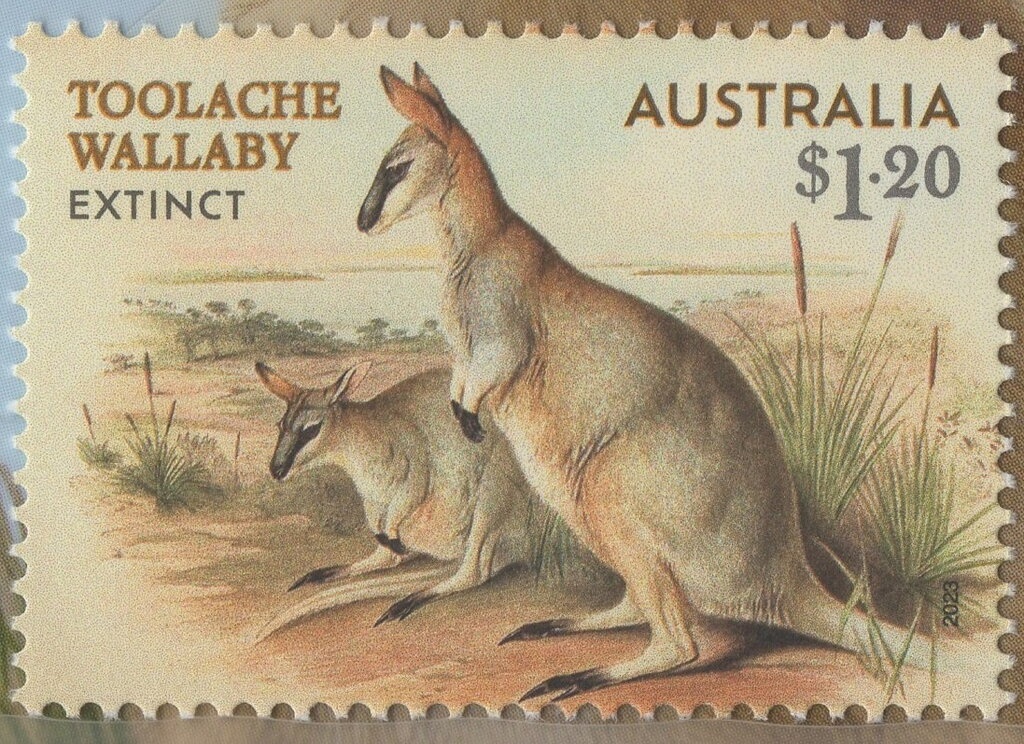 Maiden Voyage of "Aurora Australis" (research ship)