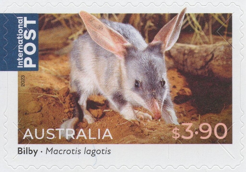 Weeping Mmilk Cap (Lactifluus volemus)