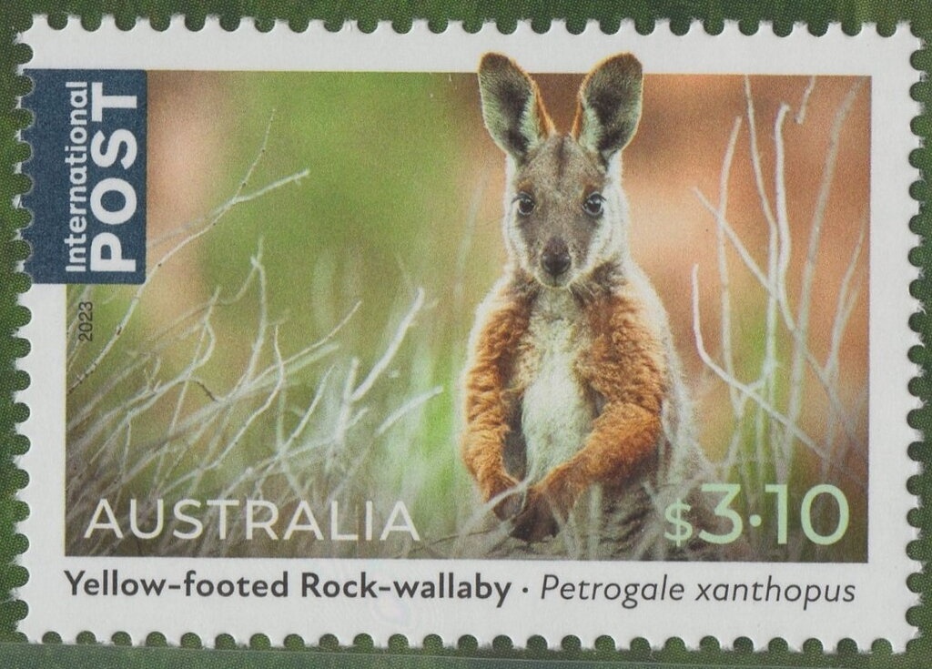 APTA Melbourne on Sydney Harbour