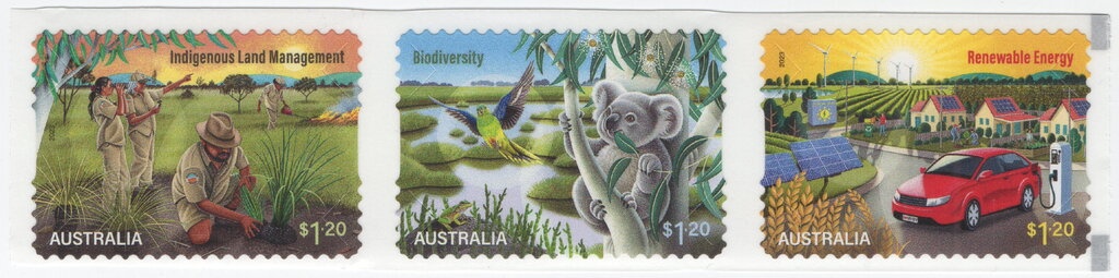 ANDA on Wild Babies - Overprint