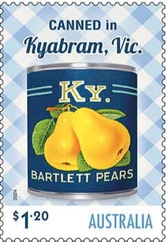 Mackerel Icefish (Champsocephalus gunnari)