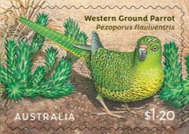 Kalkadoon Dreaming : Art of Chern’ee Sutton - Animals - SDC