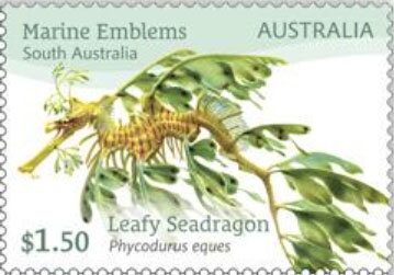 Mollie O’Callaghan, Women's 200m Freestyle