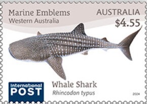 Lauren Parker, Triathlon