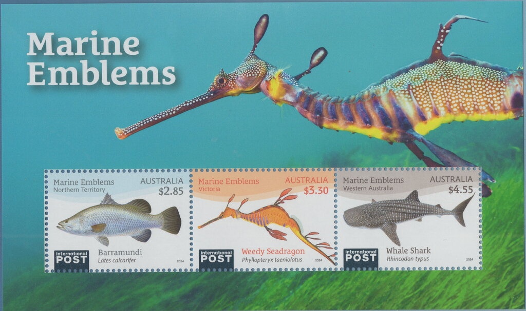 Rising Sun Badge, 1902-1904