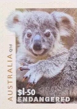 Crabeater Seal (Lobodon carcinophagus) Diving