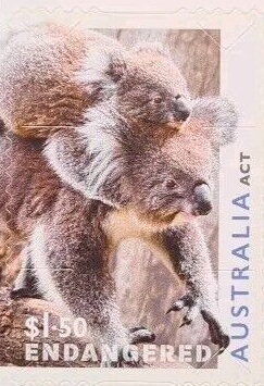 Jersey Cattle 5th reprint - 1 Kangaroo