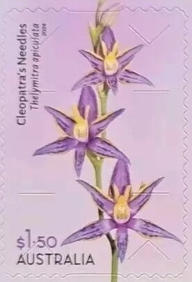 Brock and 1979 Holden LX Torana