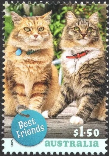 For Special Occasions