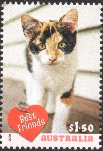 W Class Locomotive 933 (right facing)