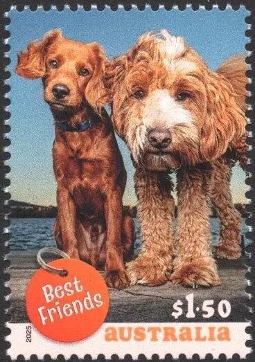 Davis Station, Signpost in Moonlight