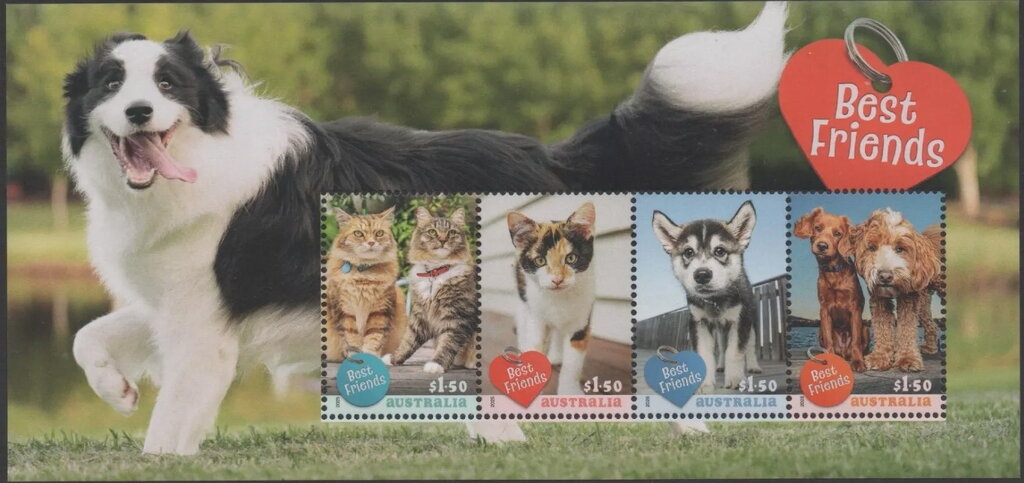 Janawa - Seven Sisters by May Chapman