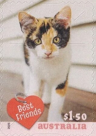 Emperor Penguin (Aptenodytes forsteri) with Chicks