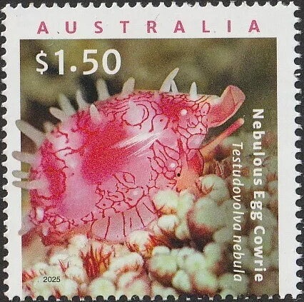 Climax 1694 + NA Class 14A