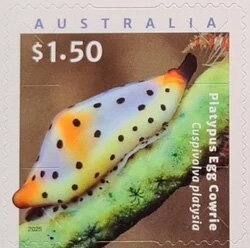 Customs Duty - London