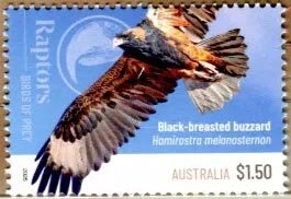 How Far is a Lightyear? by Simon Lehner