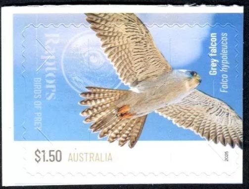 Bert Newton, AM, MBE