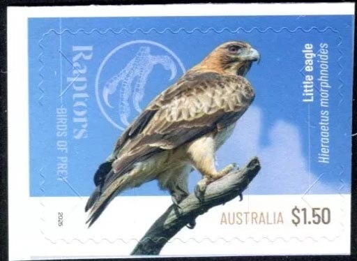 Customs Duty - London