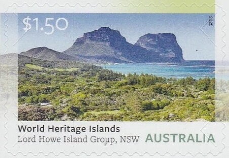 Koala (Phascolarctos cinereus)