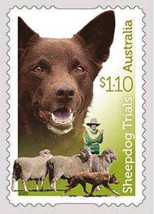 Southern Lights (Aurora Australis)