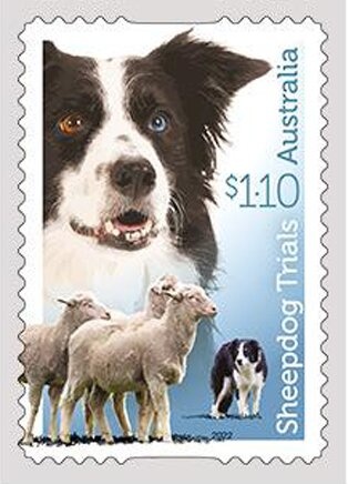 Australian Pelican - 5th Reprint - 1 kangaroo