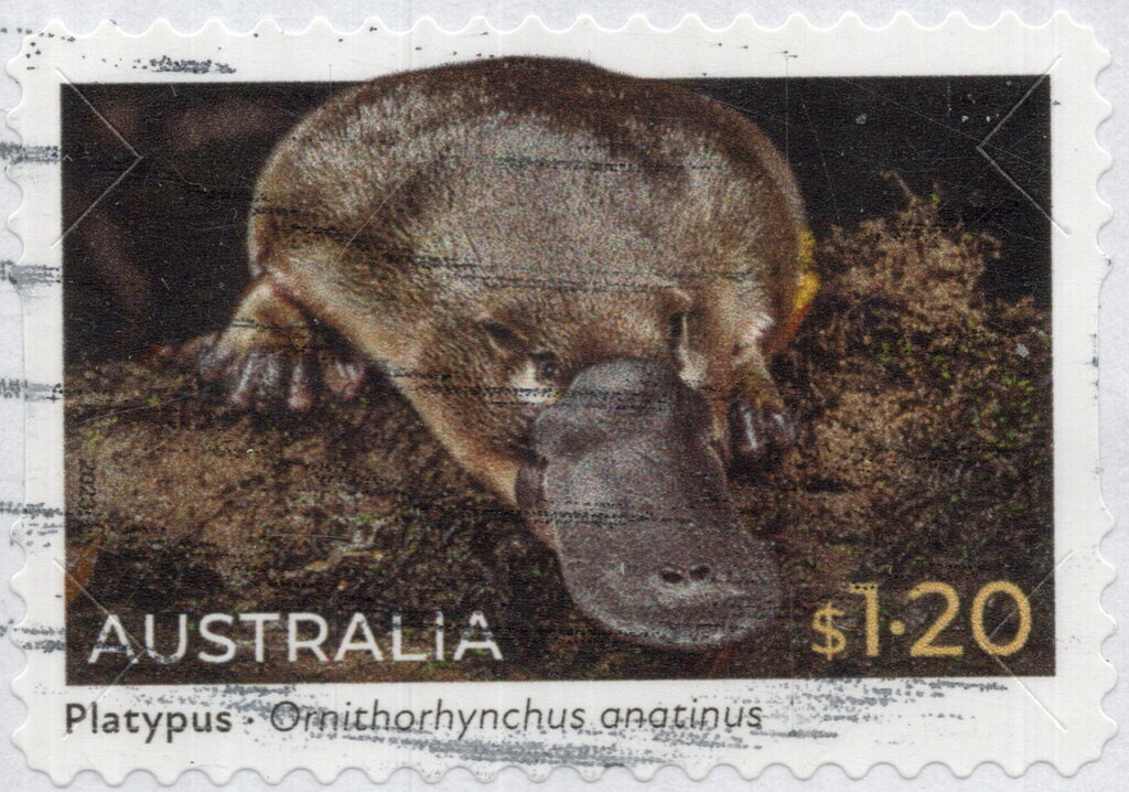 Franz Joseph - fine print