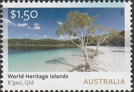 Little Eagle (Hieraaetus morphnoides)