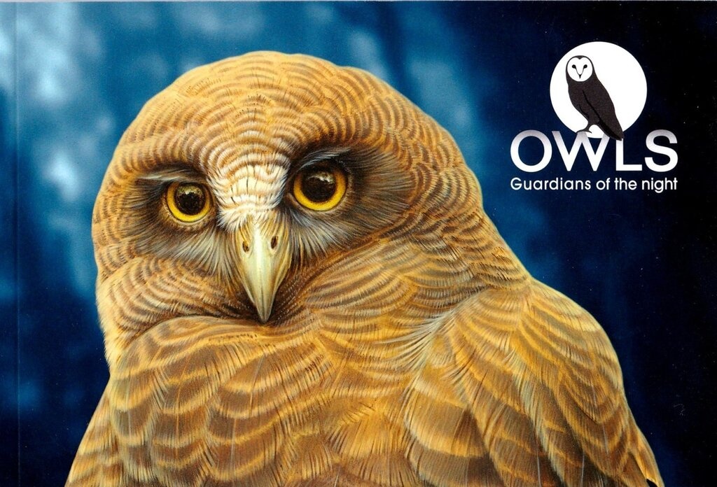 Astronomy and Glaciology