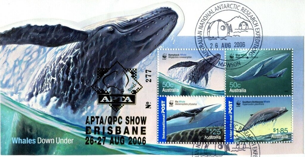 Salwater Crocodile (Crocodylus porosus) - 10th Reprint