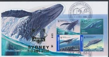 Yellow-bellied Sea Snake (Pelamis platurus)