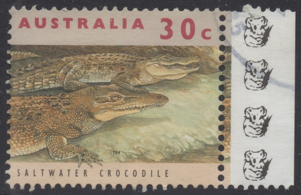 Koala (Phascolarctos cinereus) - (2nd Reprint - 2 Koalas)