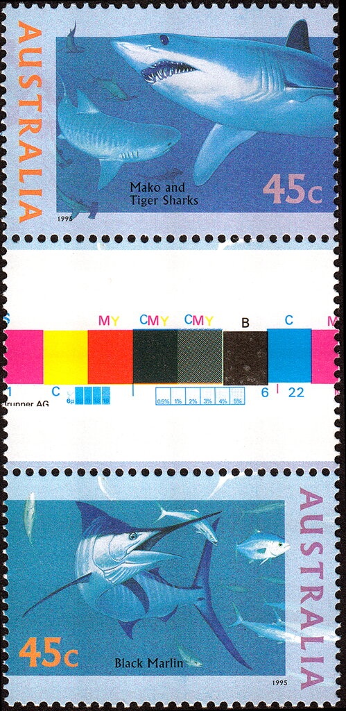 Night Parrot (Pezoporus occidentalis)