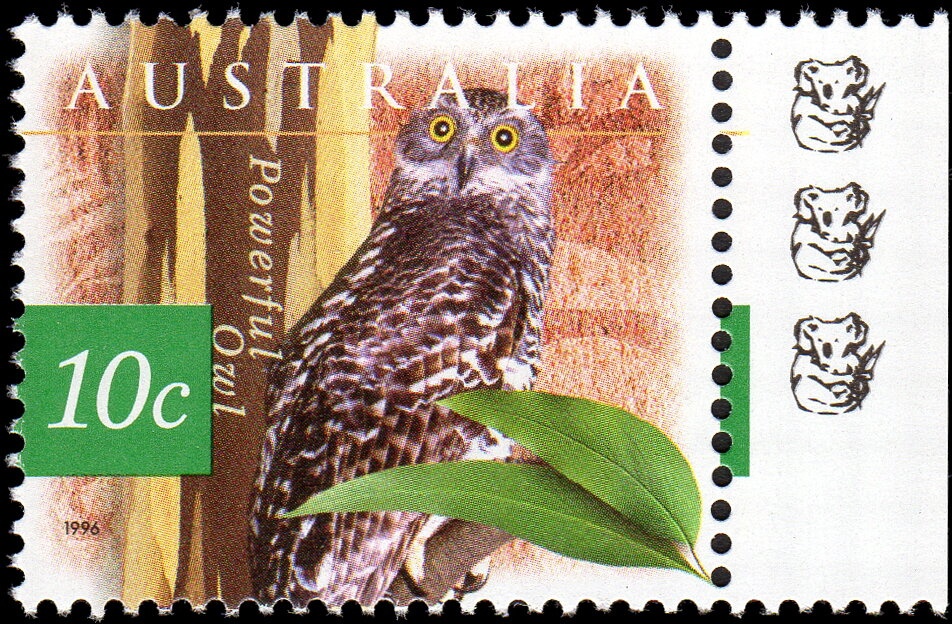 Purple-blue Ice Flower