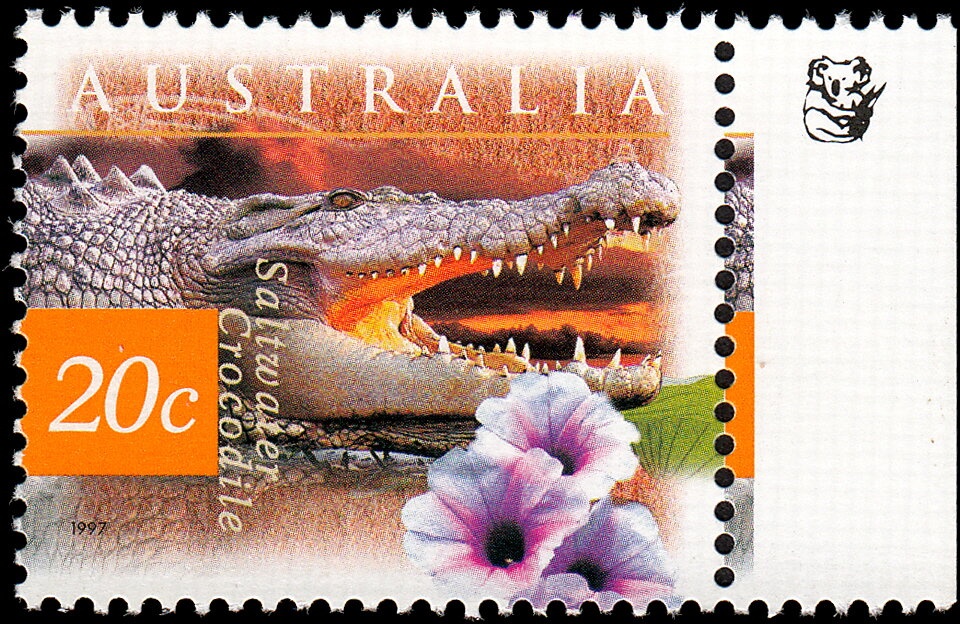 Bilby (Macrotis lagotis)