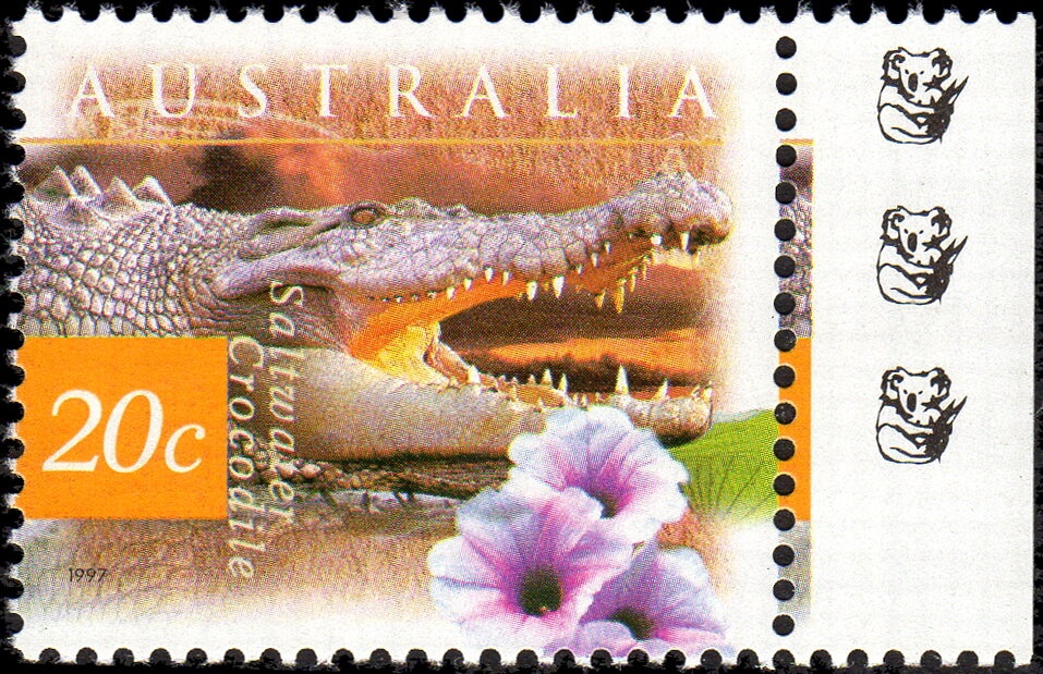 Bilby (Macrotis lagotis)